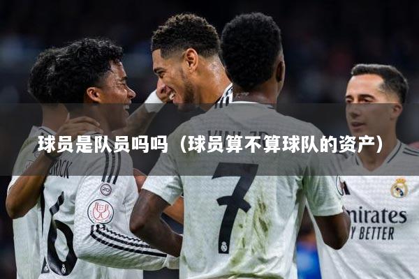 球员是队员吗吗（球员算不算球队的资产）