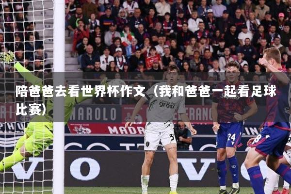 陪爸爸去看世界杯作文（我和爸爸一起看足球比赛）