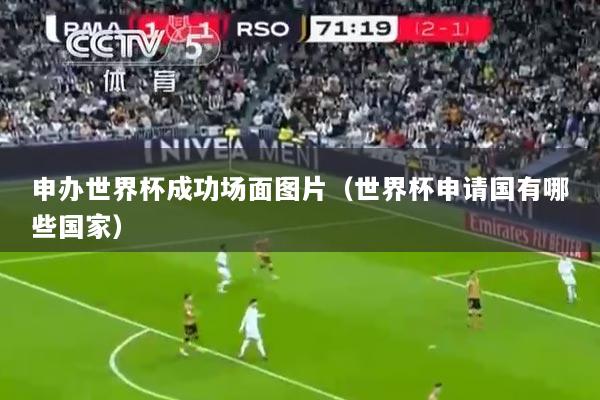 申办世界杯成功场面图片（世界杯申请国有哪些国家）