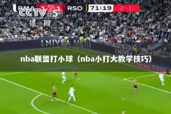 nba联盟打小球（nba小打大教学技巧）