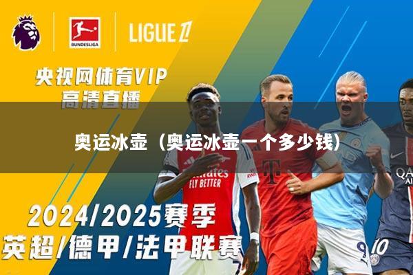 奥运冰壶（奥运冰壶一个多少钱）